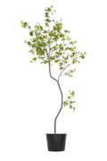 Artificial Plants