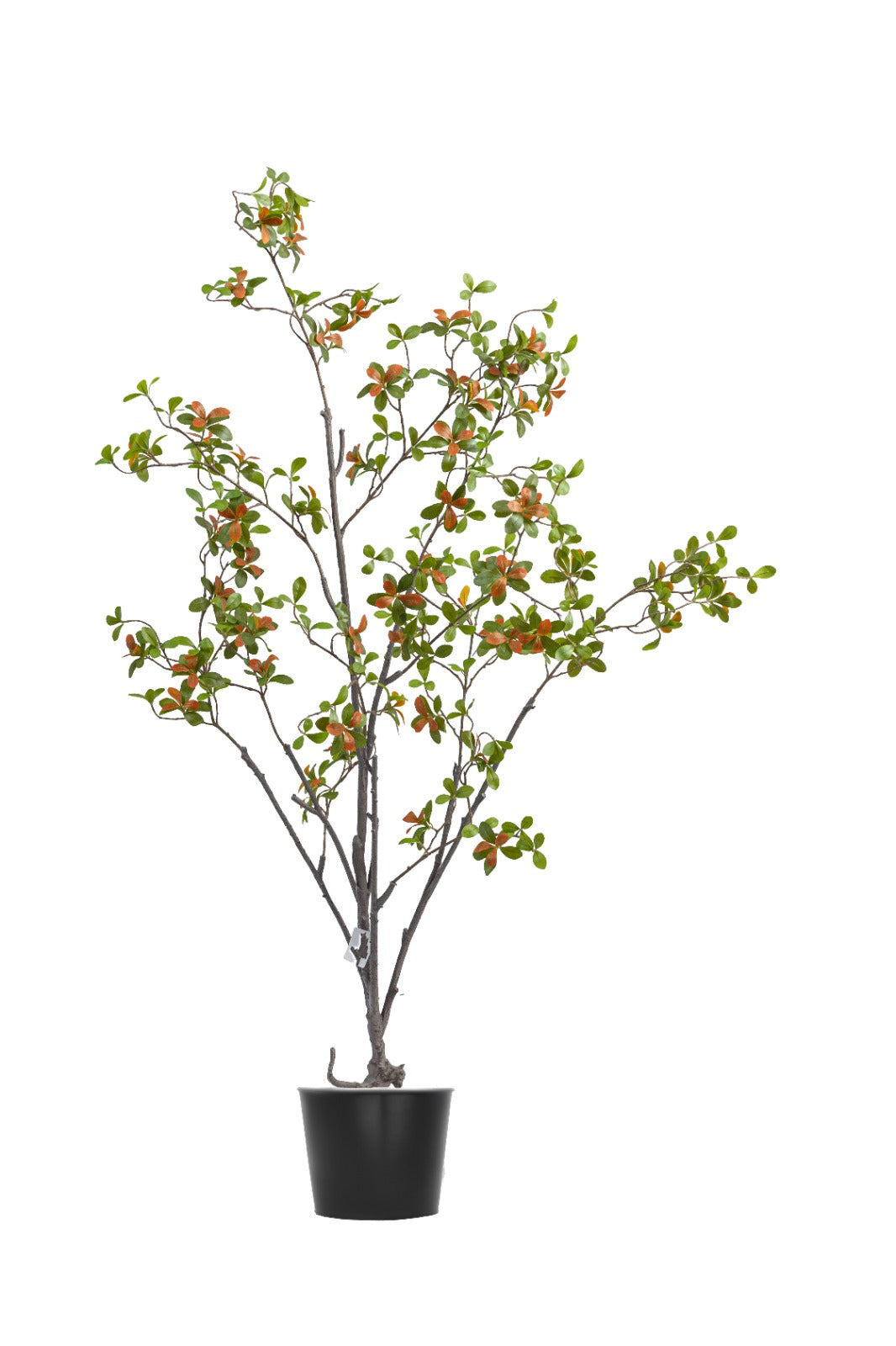 Artificial Plants