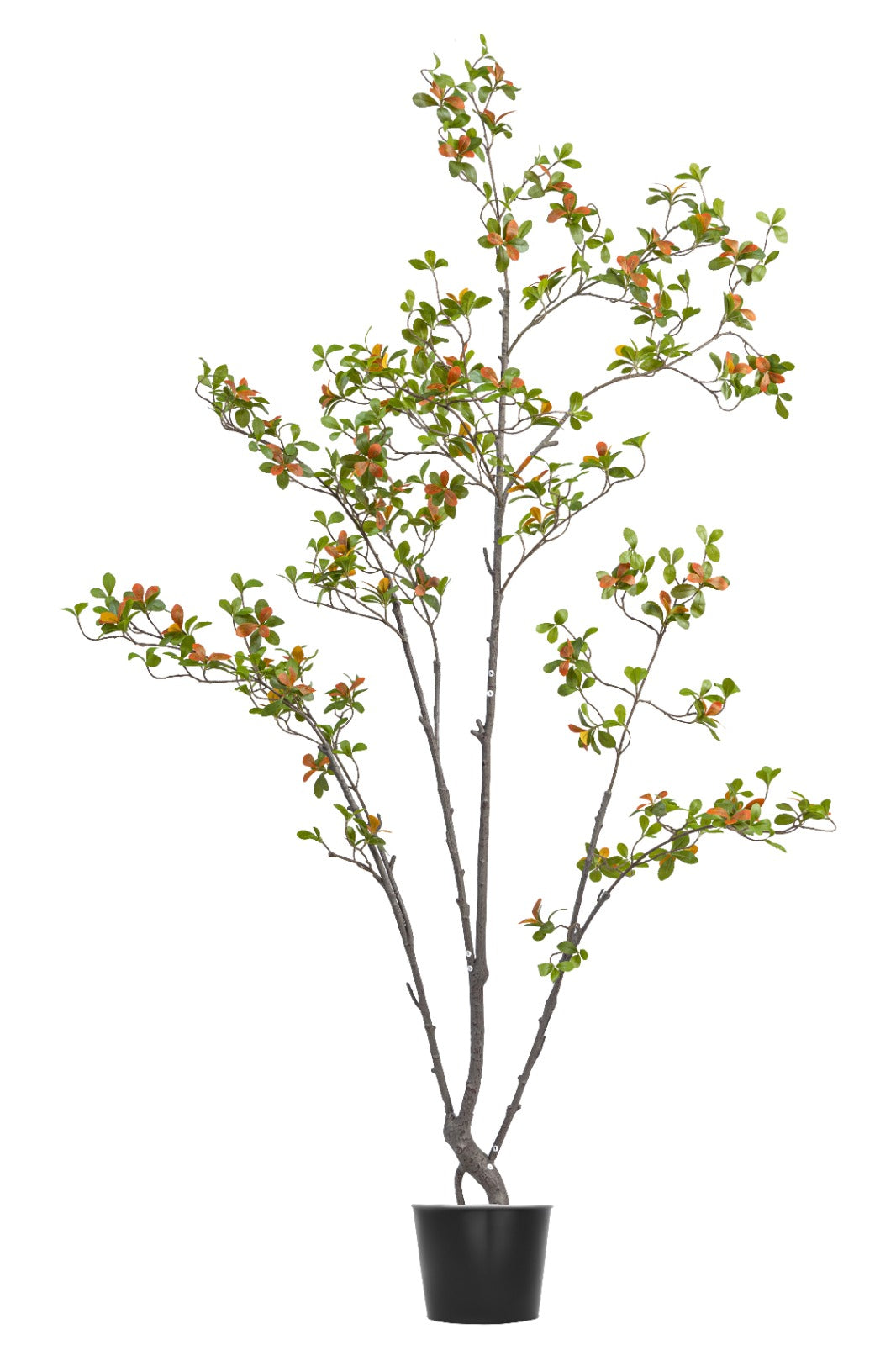 Artificial Plants