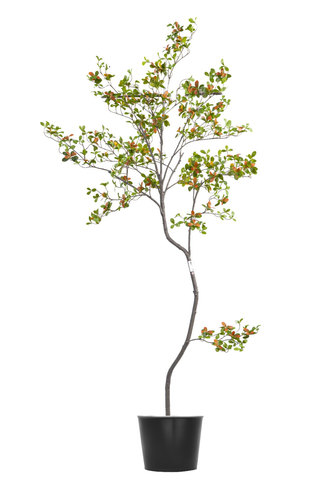 Artificial Plants