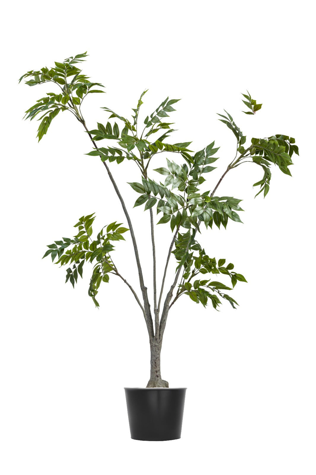 Artificial Plants