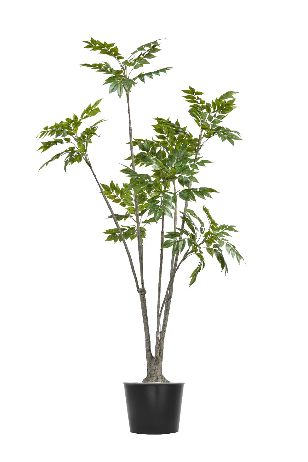 Artificial Plants