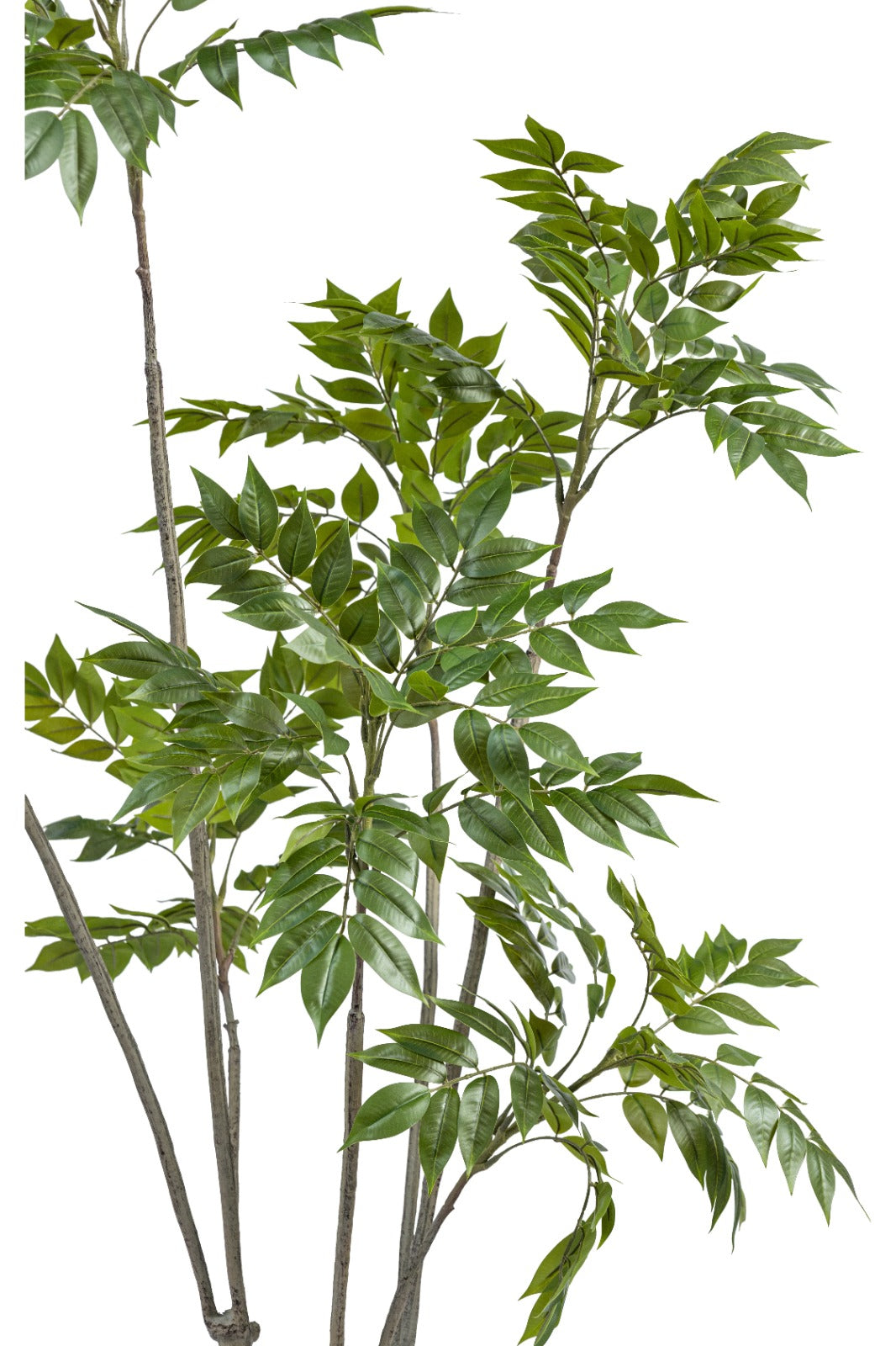 Artificial Plants