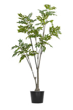 Artificial Plants