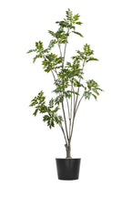 Artificial Plants