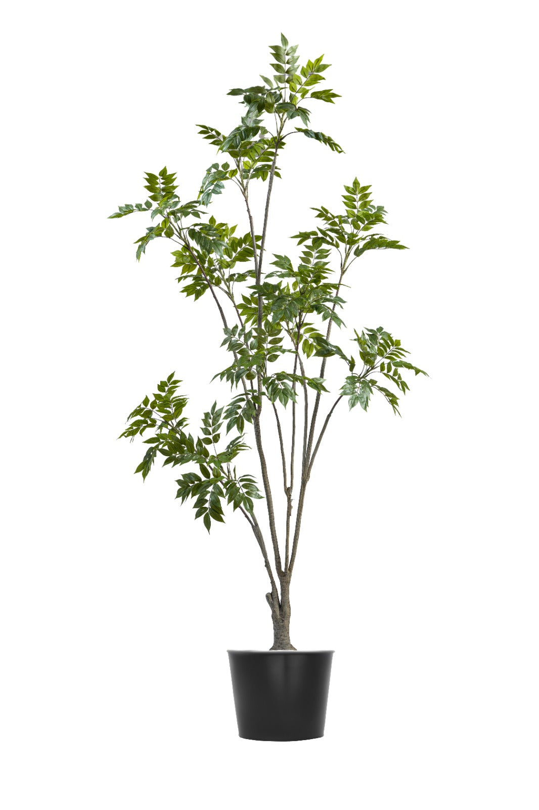 Artificial Plants