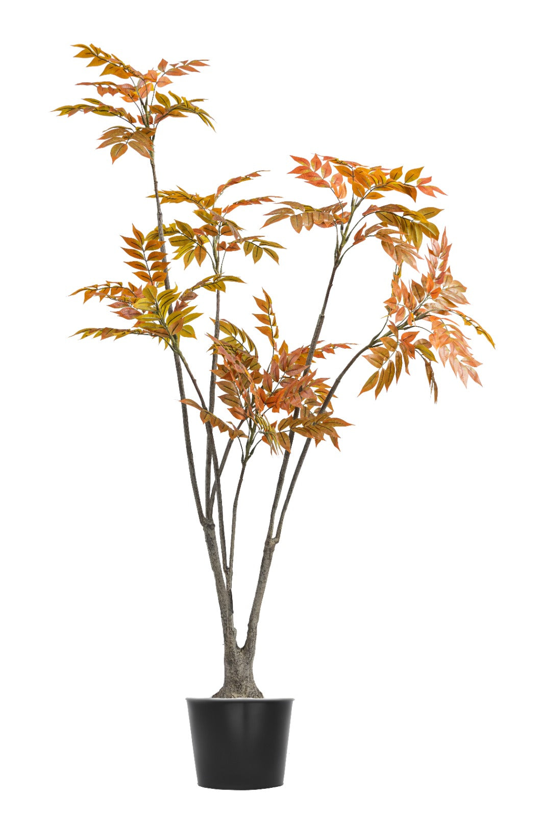 Artificial Plants
