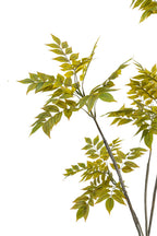 Artificial Plants