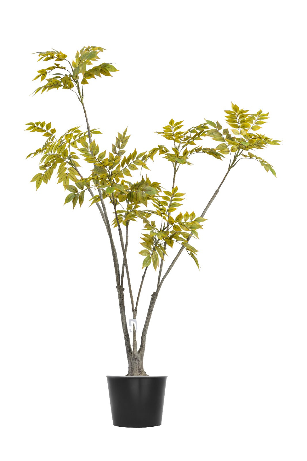 Artificial Plants