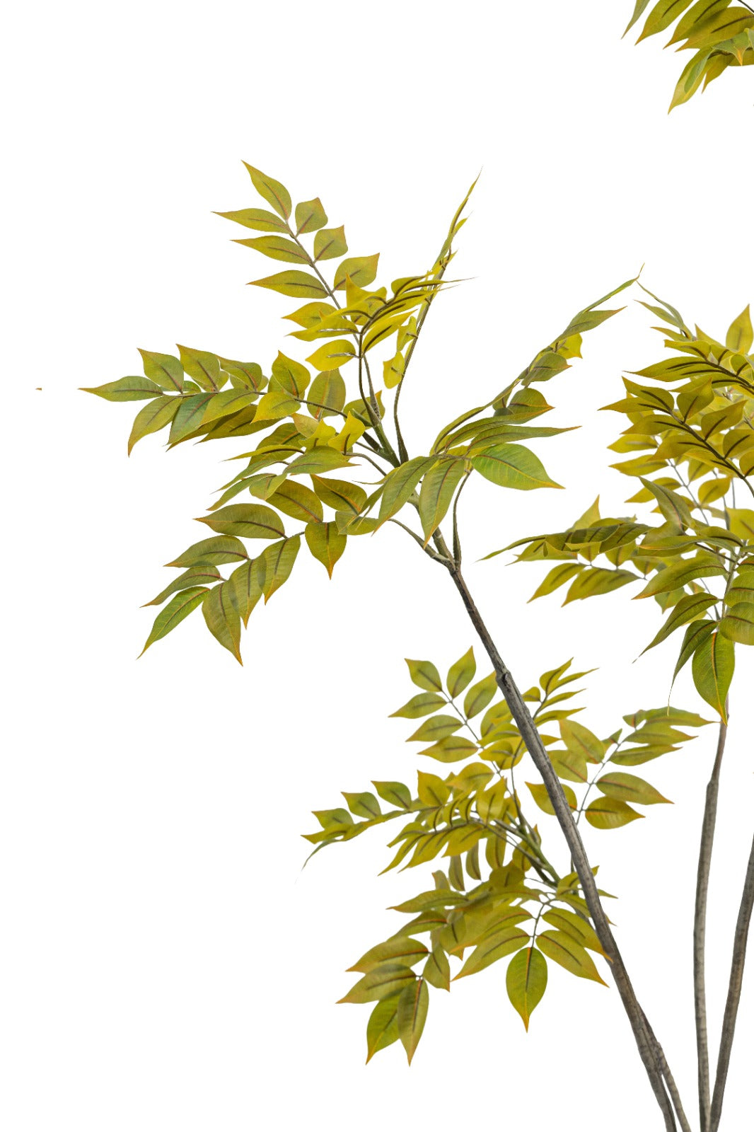 Artificial Plants