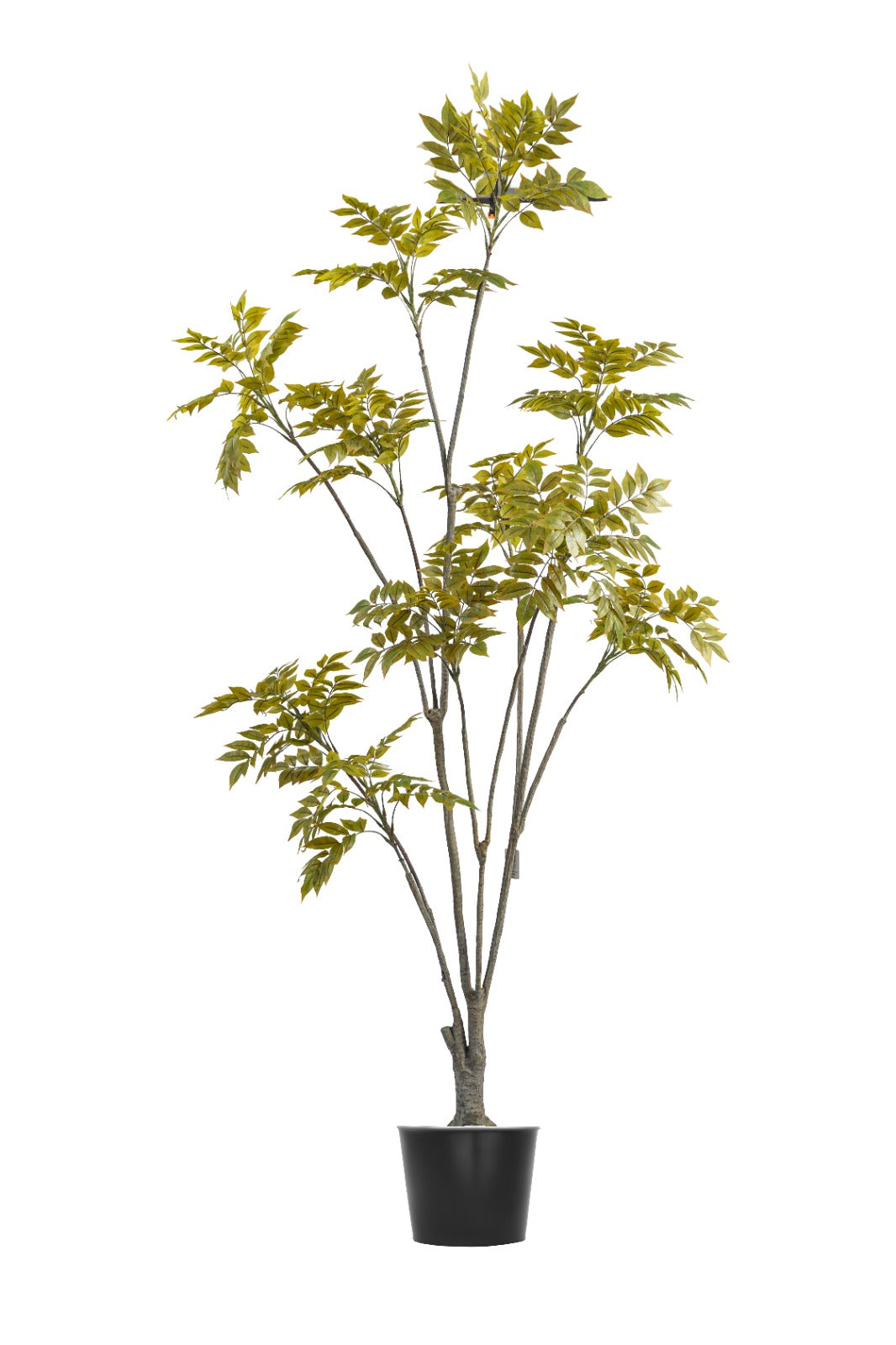Artificial Plants