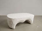 Designer Fiberglass Coffee Table