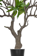نباتات اصطناعية