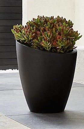 Planter Pots