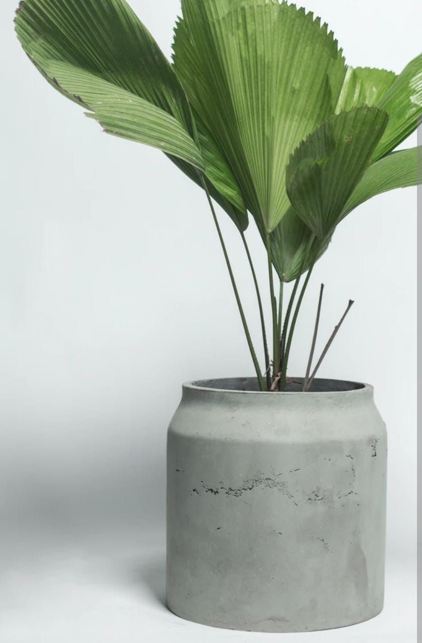 Planter Pots