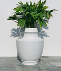 Planter Pots