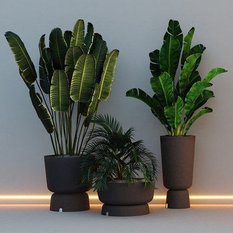 أواني الزراعة