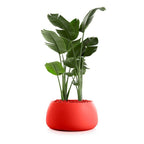20. Modern Geometric Fiberglass Planter Pot