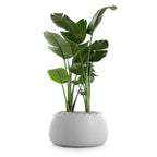 20. Modern Geometric Fiberglass Planter Pot