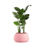 20. Modern Geometric Fiberglass Planter Pot