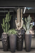 Planter Pots