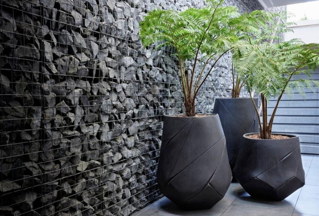 Planter Pots