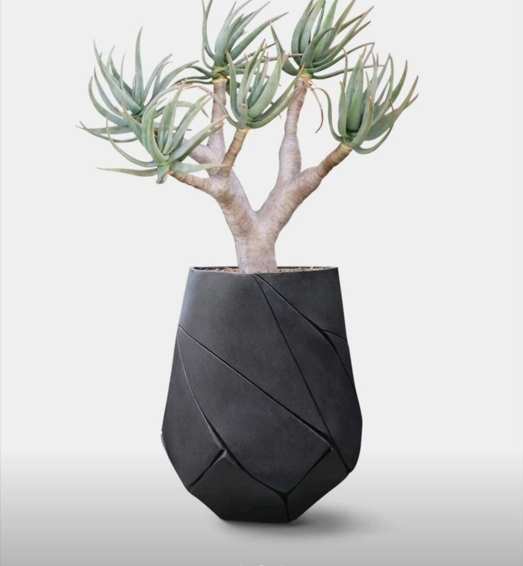 Planter Pots