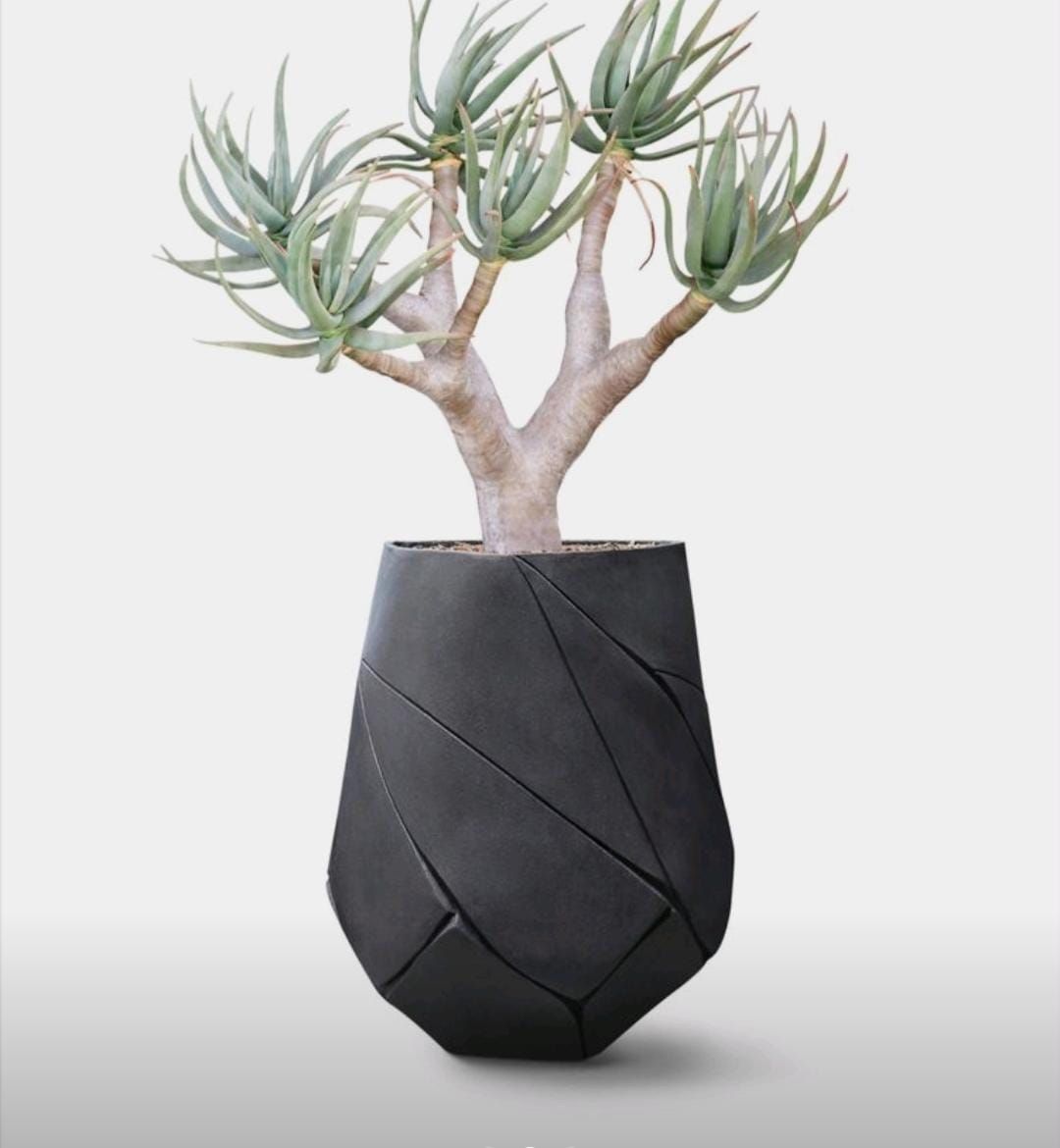 Planter Pots