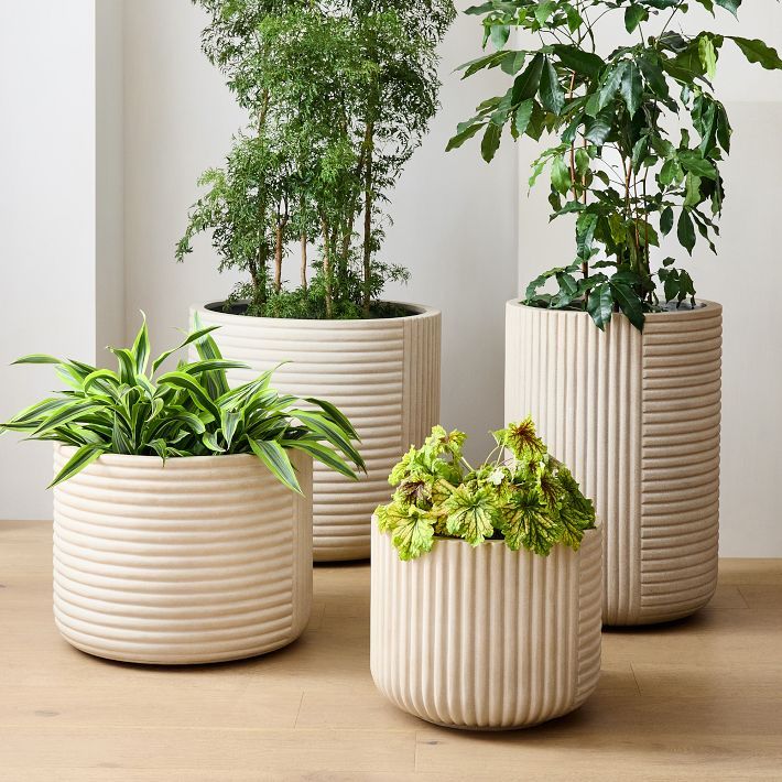 Planter Pots
