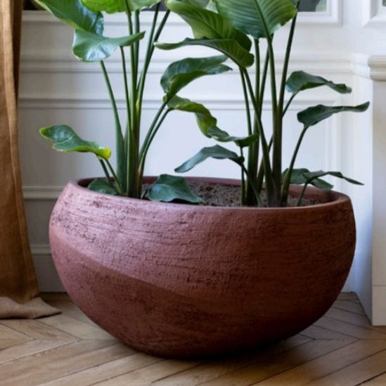 Planter Pots