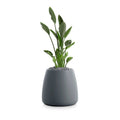 Planter Pots