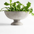 Planter Pots