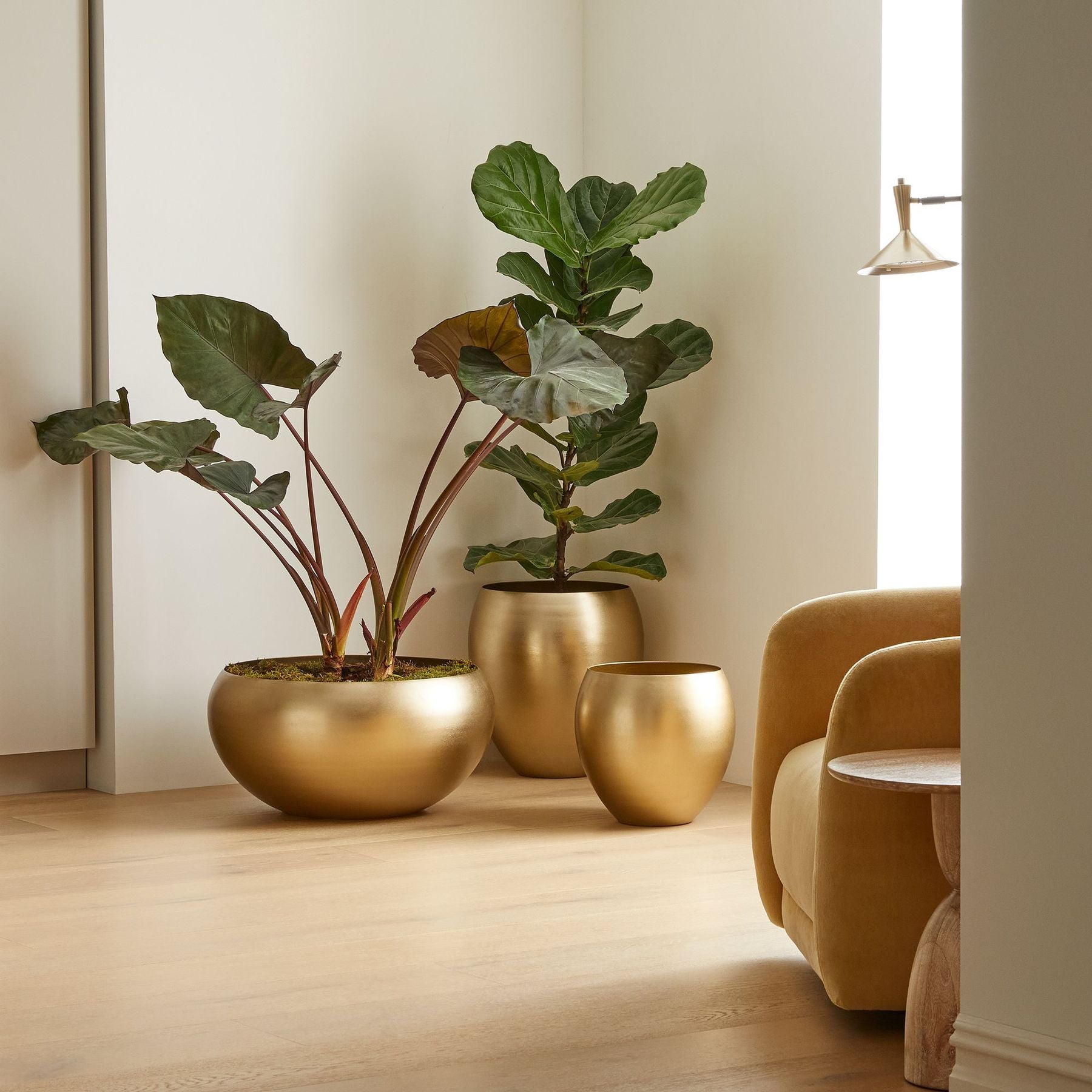 Planter Pots