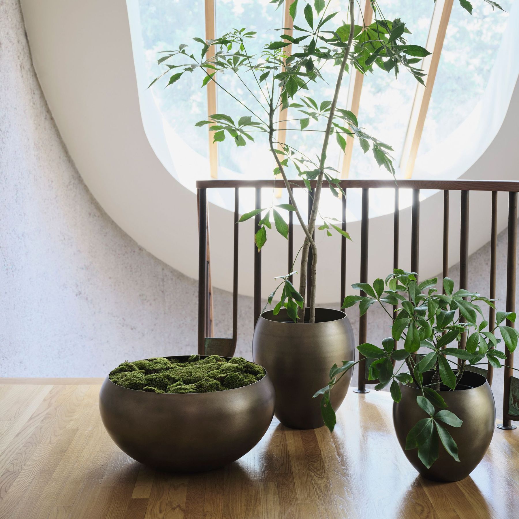 Planter Pots