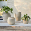 Planter Pots