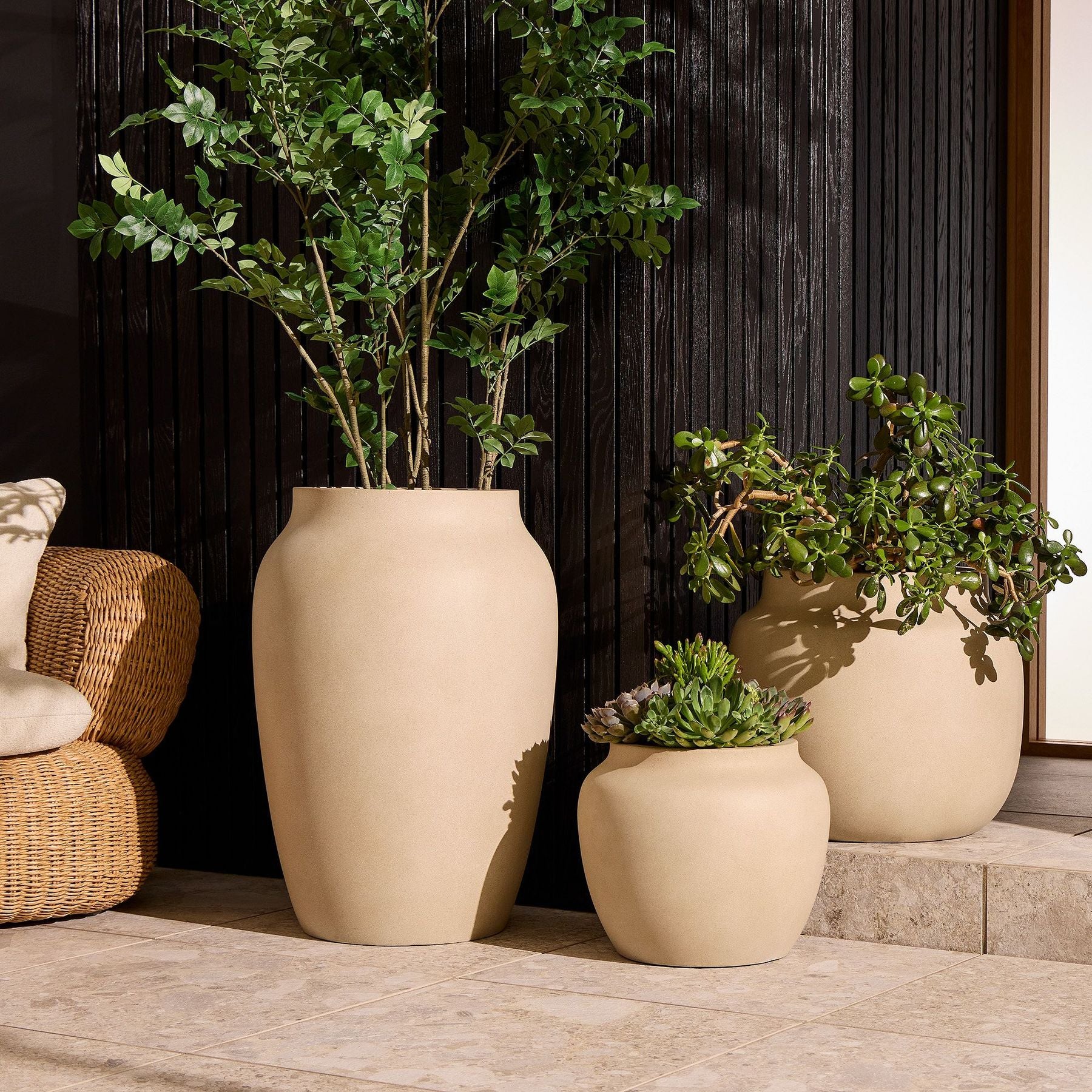 أواني الزراعة