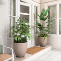 Planter Pots