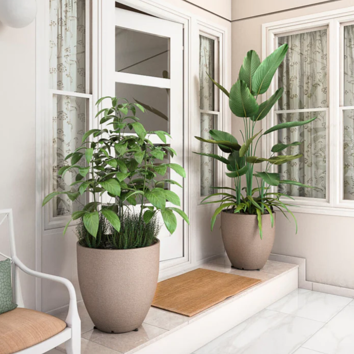 أواني الزراعة