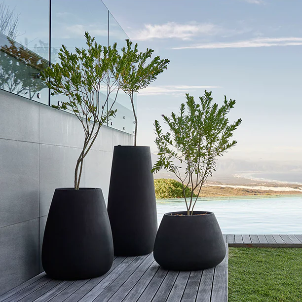 Planter Pots