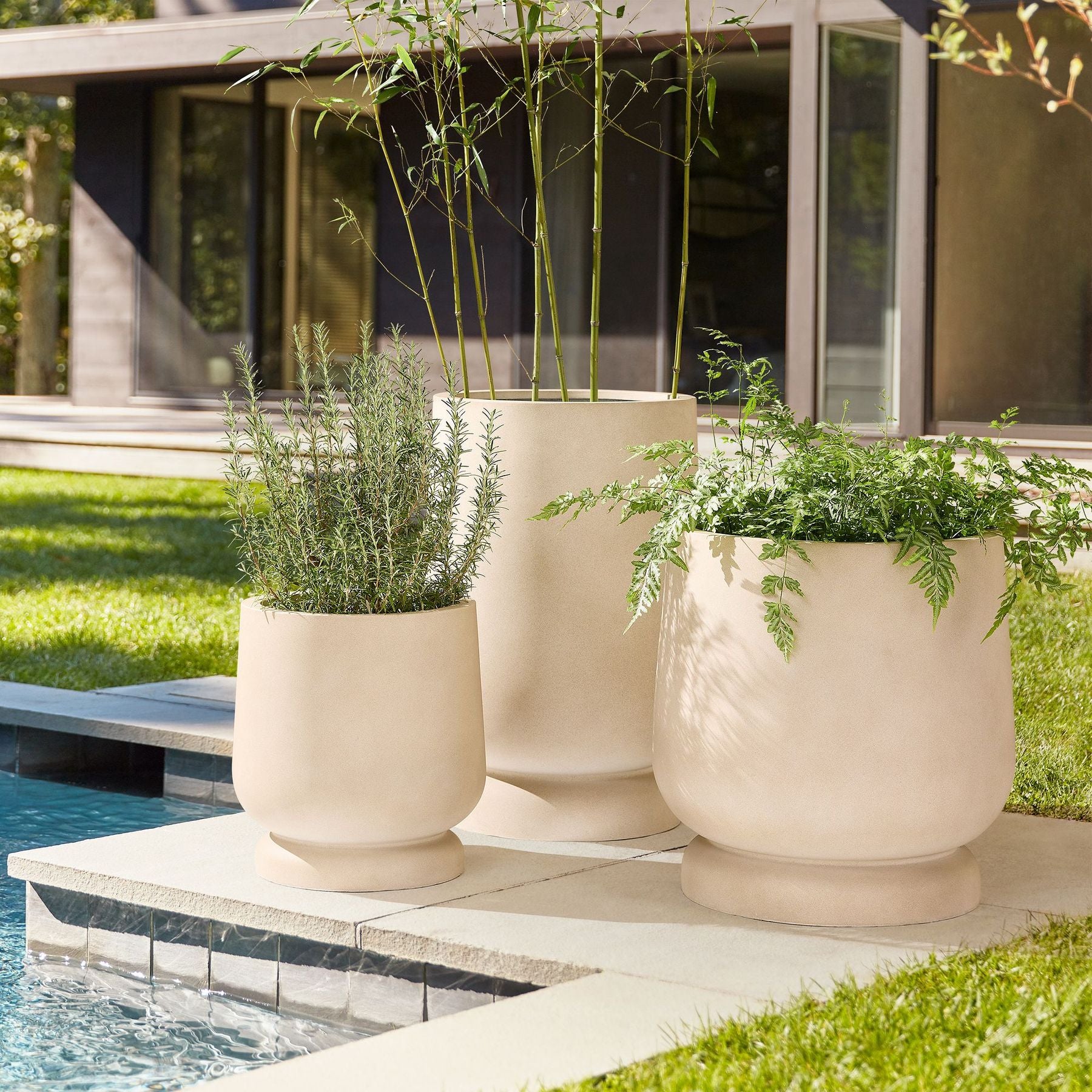 Planter Pots