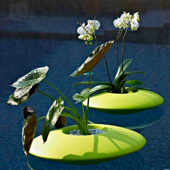 أواني الزراعة