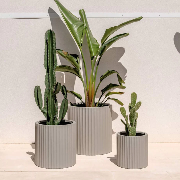Planter Pots