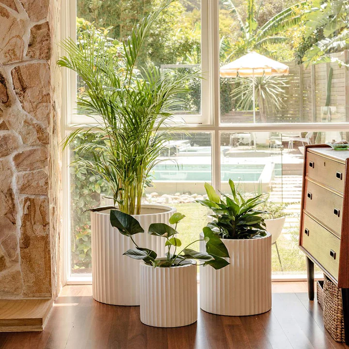 Planter Pots