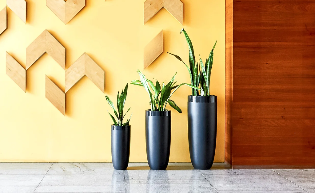 Planter Pots