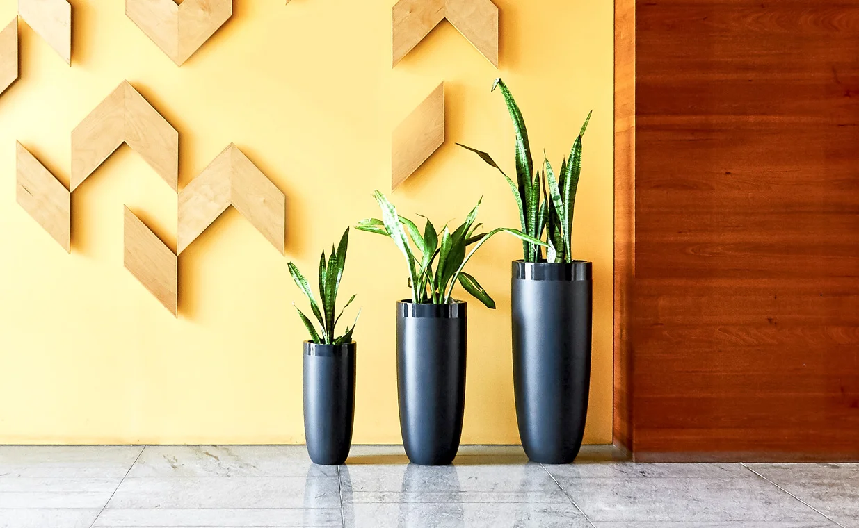Planter Pots