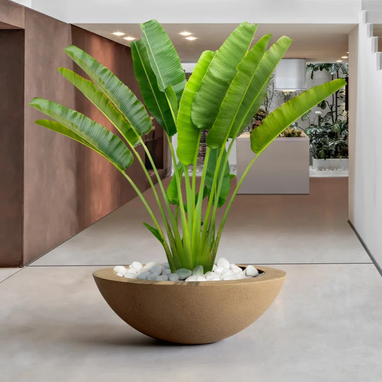 Planter Pots