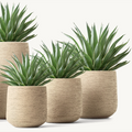 Planter Pots