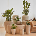 Planter Pots