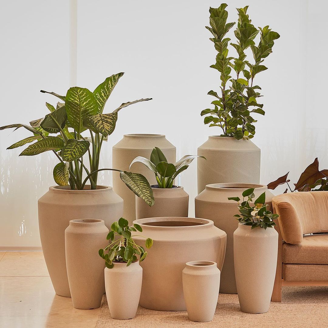 Planter Pots