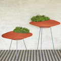 Planter Pots